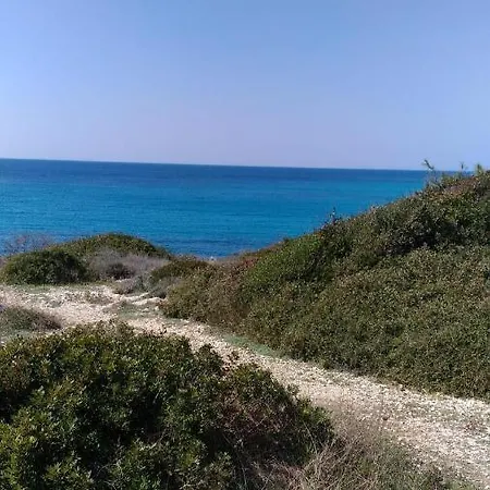 Casamare