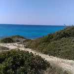 Casamare