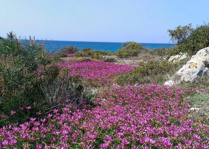 Casamare *